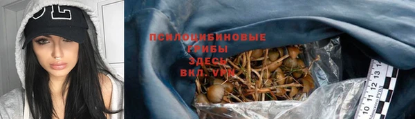 синтетический гашиш Богородицк